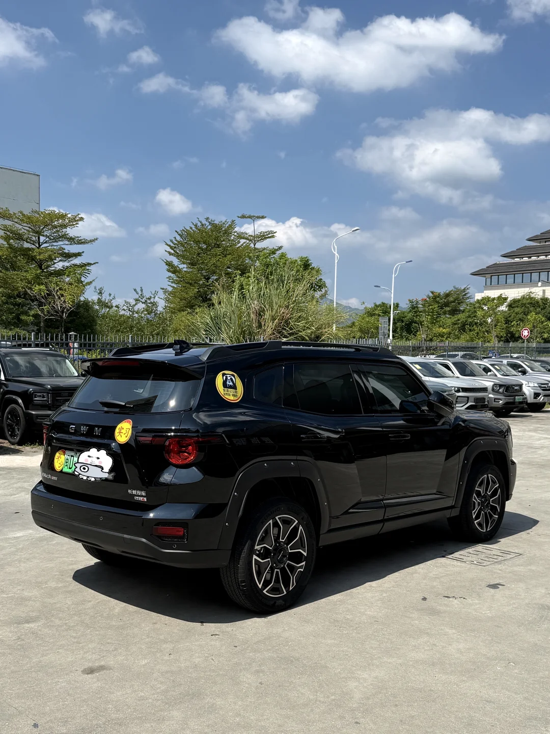 终于给我的大狗P找到了合适的行车记录仪❗️