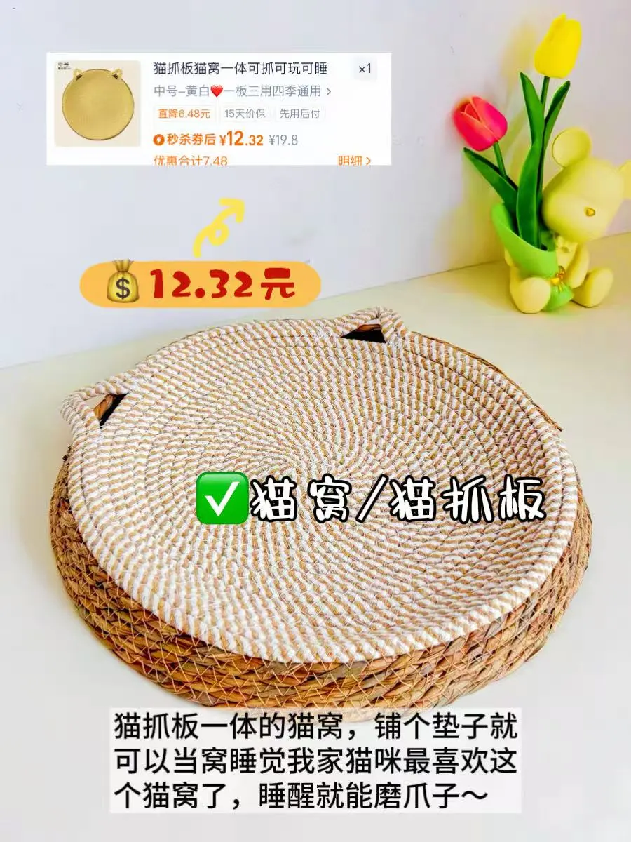 养猫好物|谁说低成本养不好猫的?