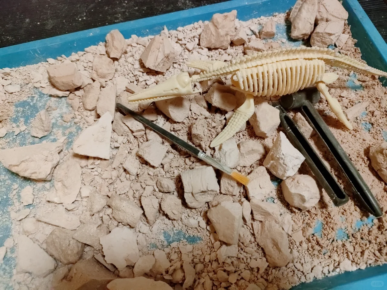 恐龙化石玩具?种草? or 拔草??