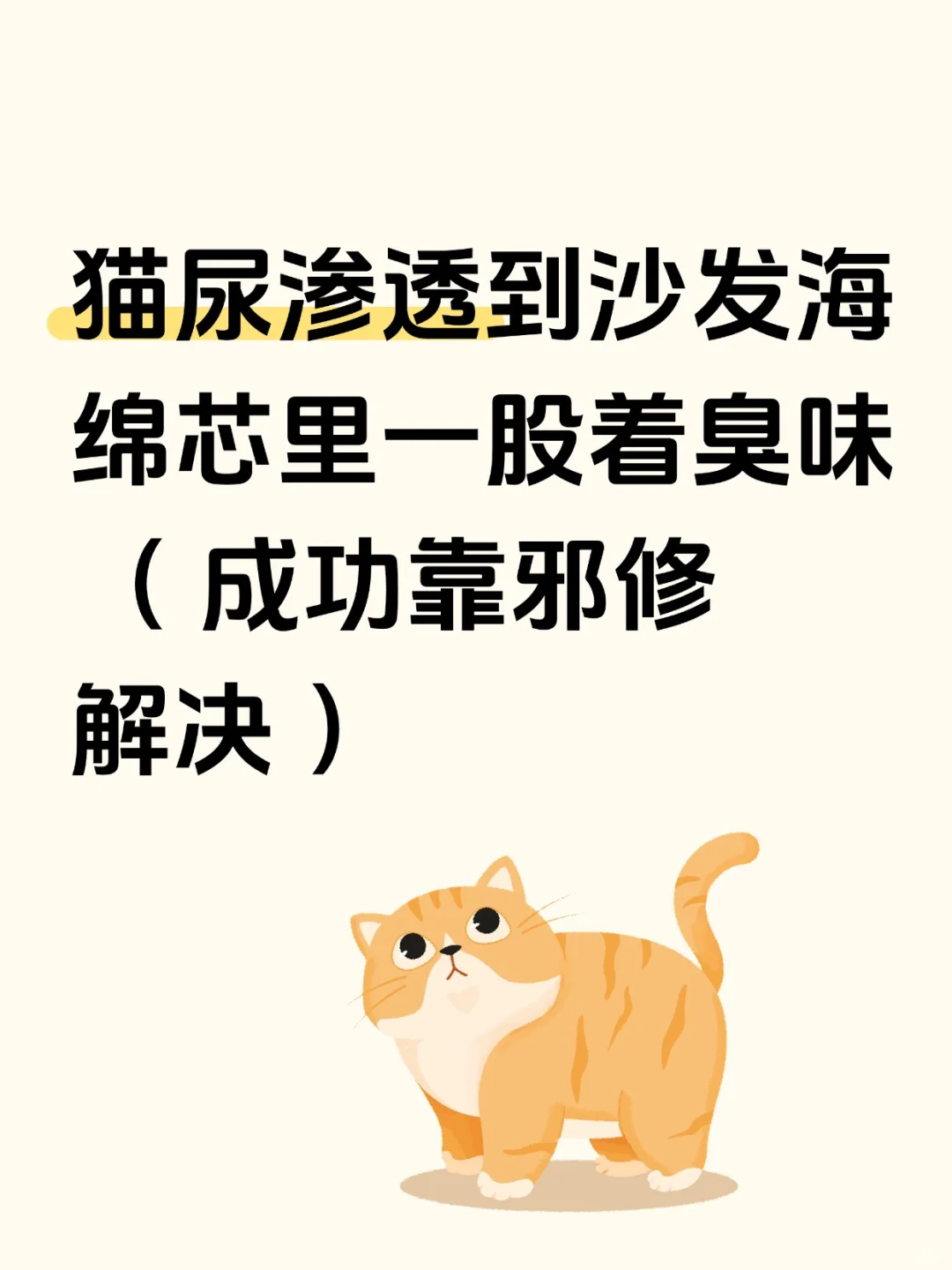 猫尿渗入沙发里，海绵芯腥臭的！（已解决）