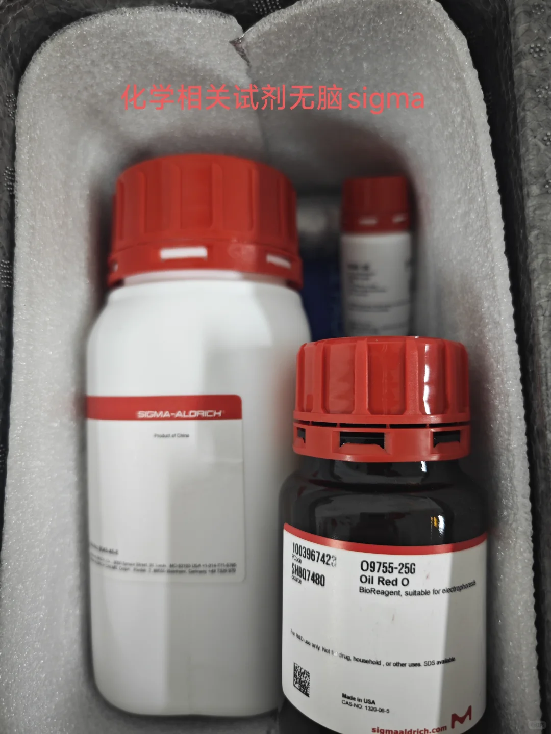 这个本科生自费建的小实验室属于什么水平