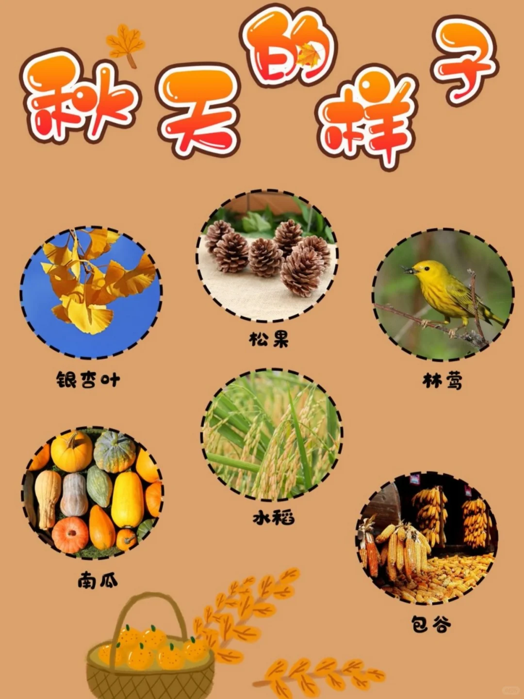 幼儿园秋天主题环创,? 打印,太美啦?