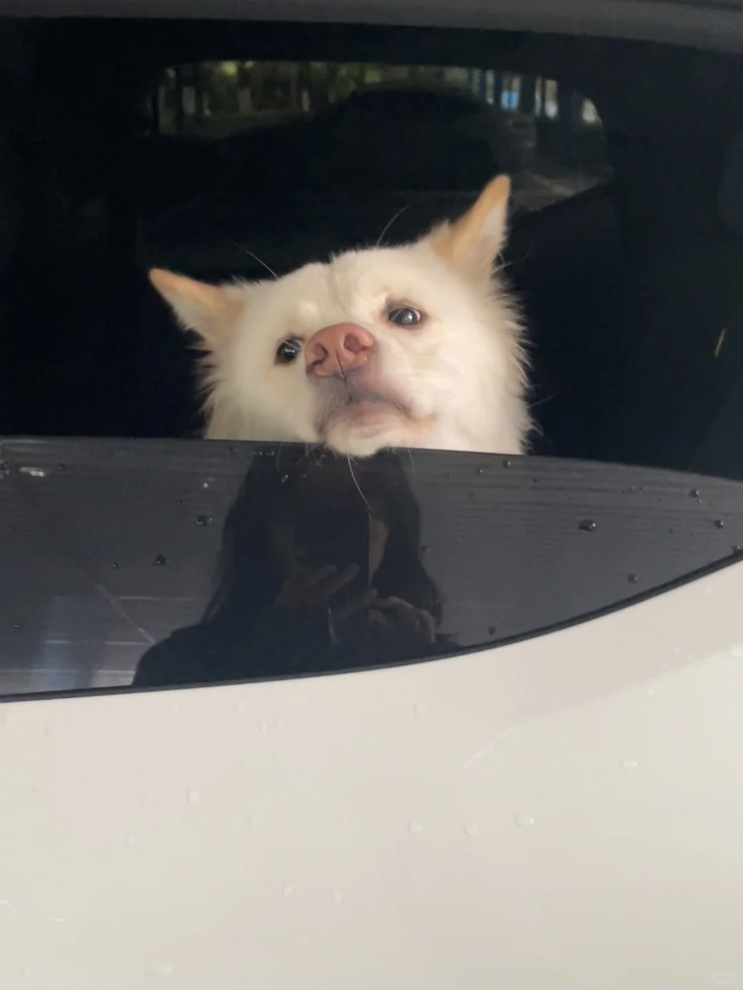 新车两个月终于换行车记录了