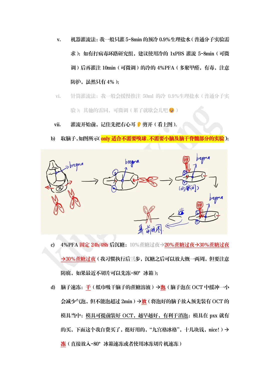 切脑子的说-切脑片protocol