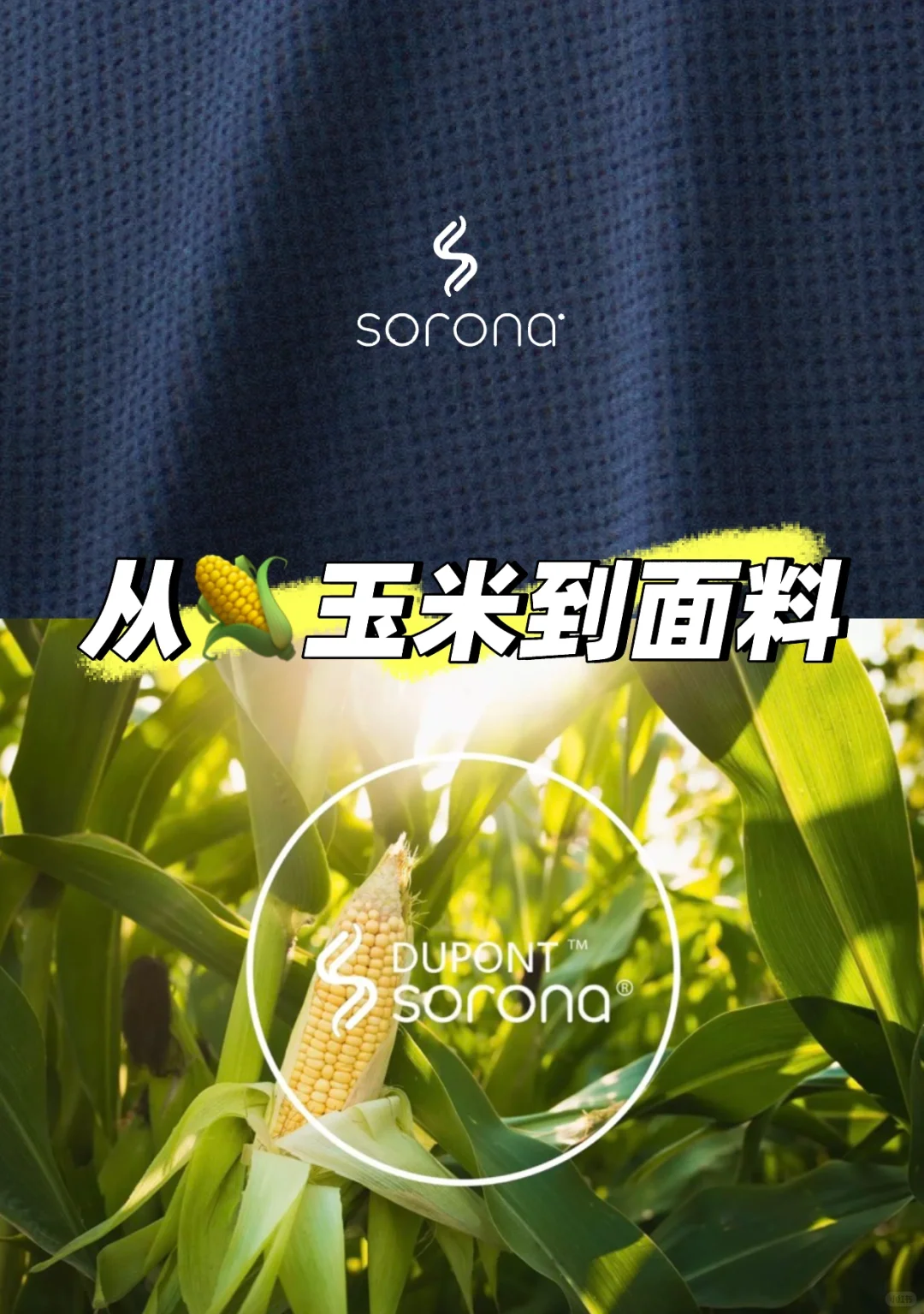 小知识：为什么用Sorona？