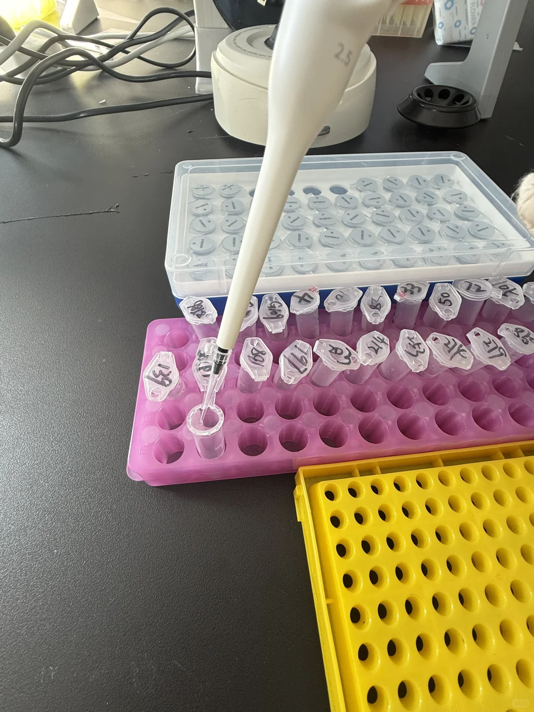 大龙HiPette彩色移液枪 | 精准上样不手抖