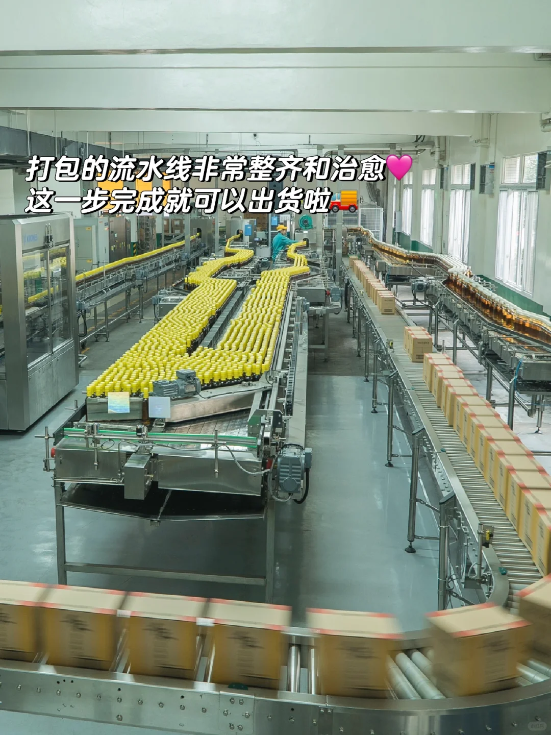 探厂plog ｜交底啦，酱油生产线都给你们看了