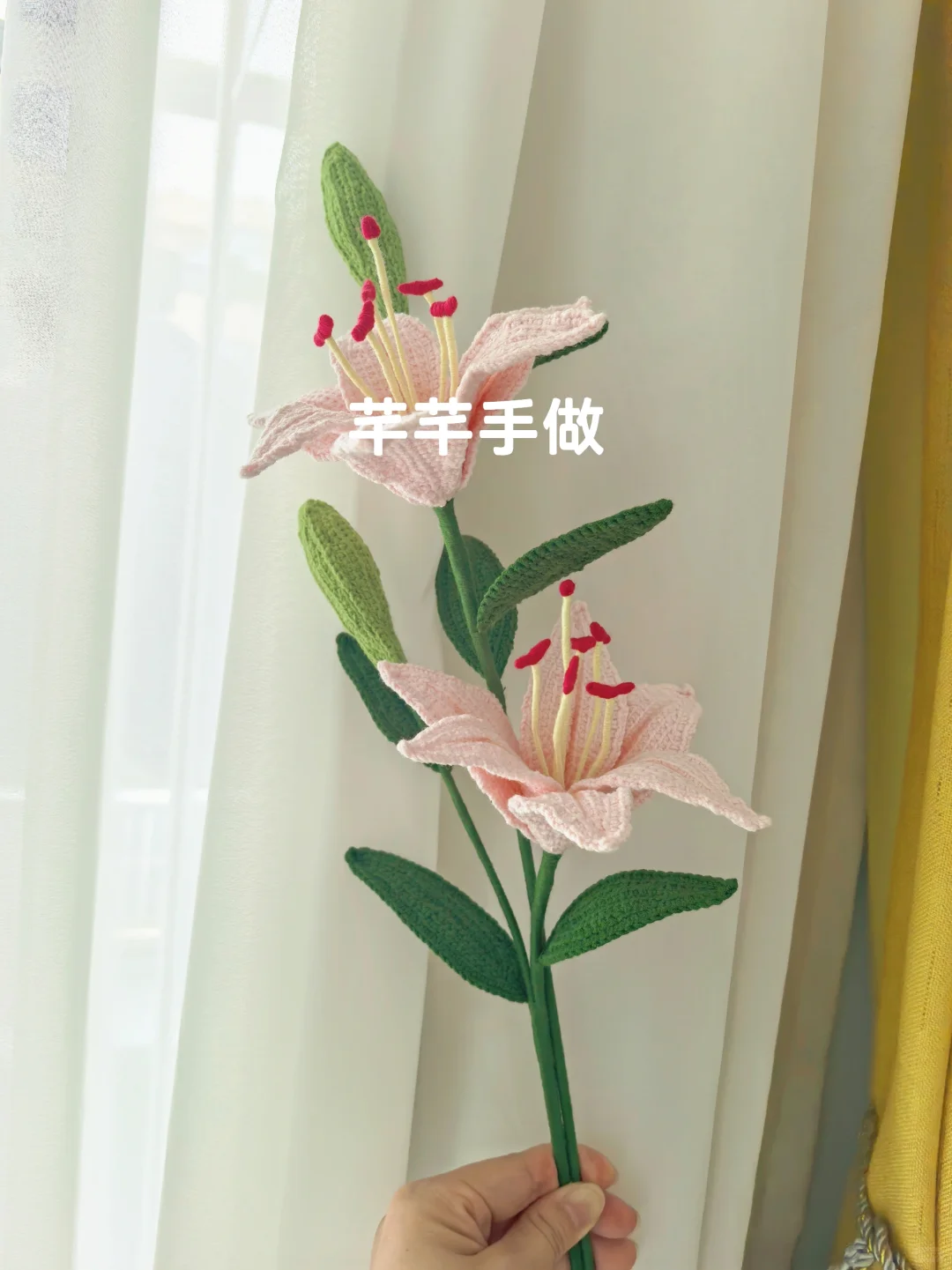 百合花，萌四线才?