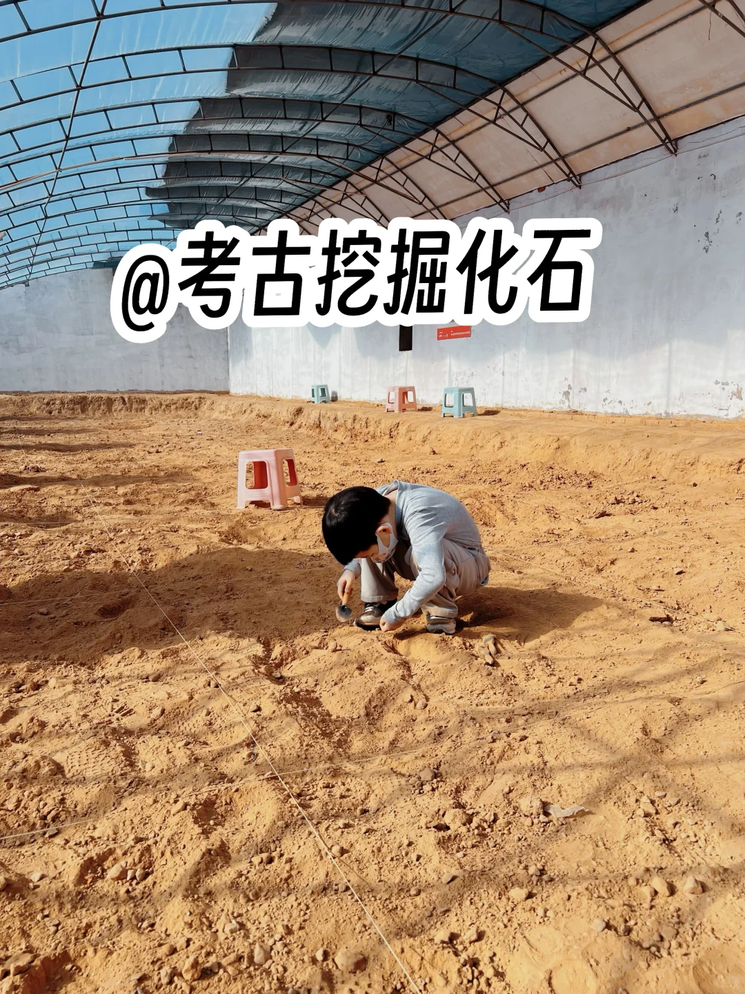 哪个小孩能拒绝考古挖掘？关键是不贵