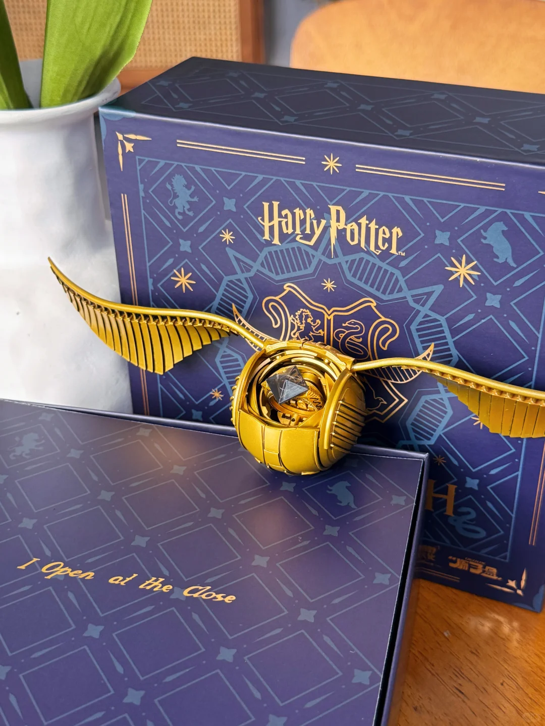 ✨金色飞贼抓住你了