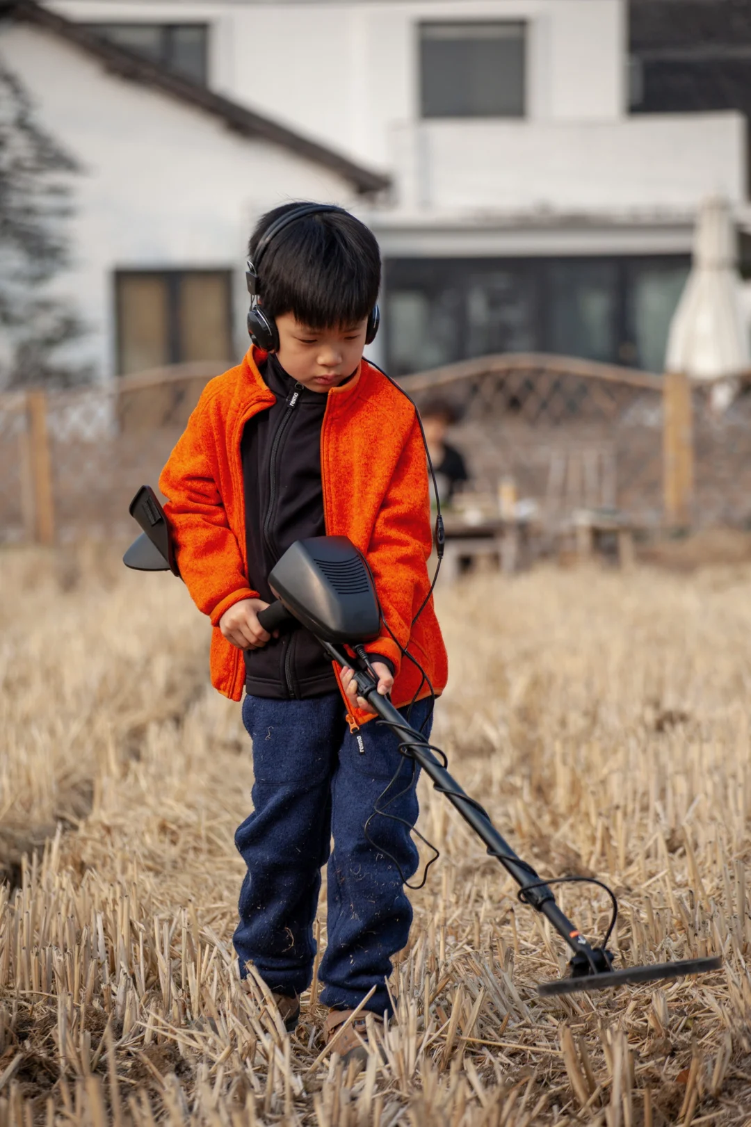 稻田探宝下午茶。