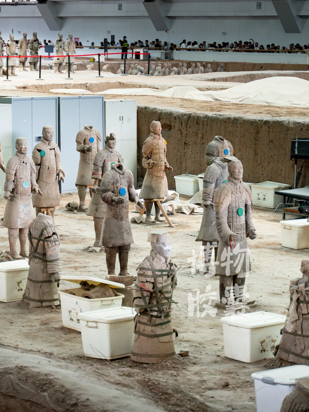 带你看看东倒西歪、缺胳膊少腿的兵马俑