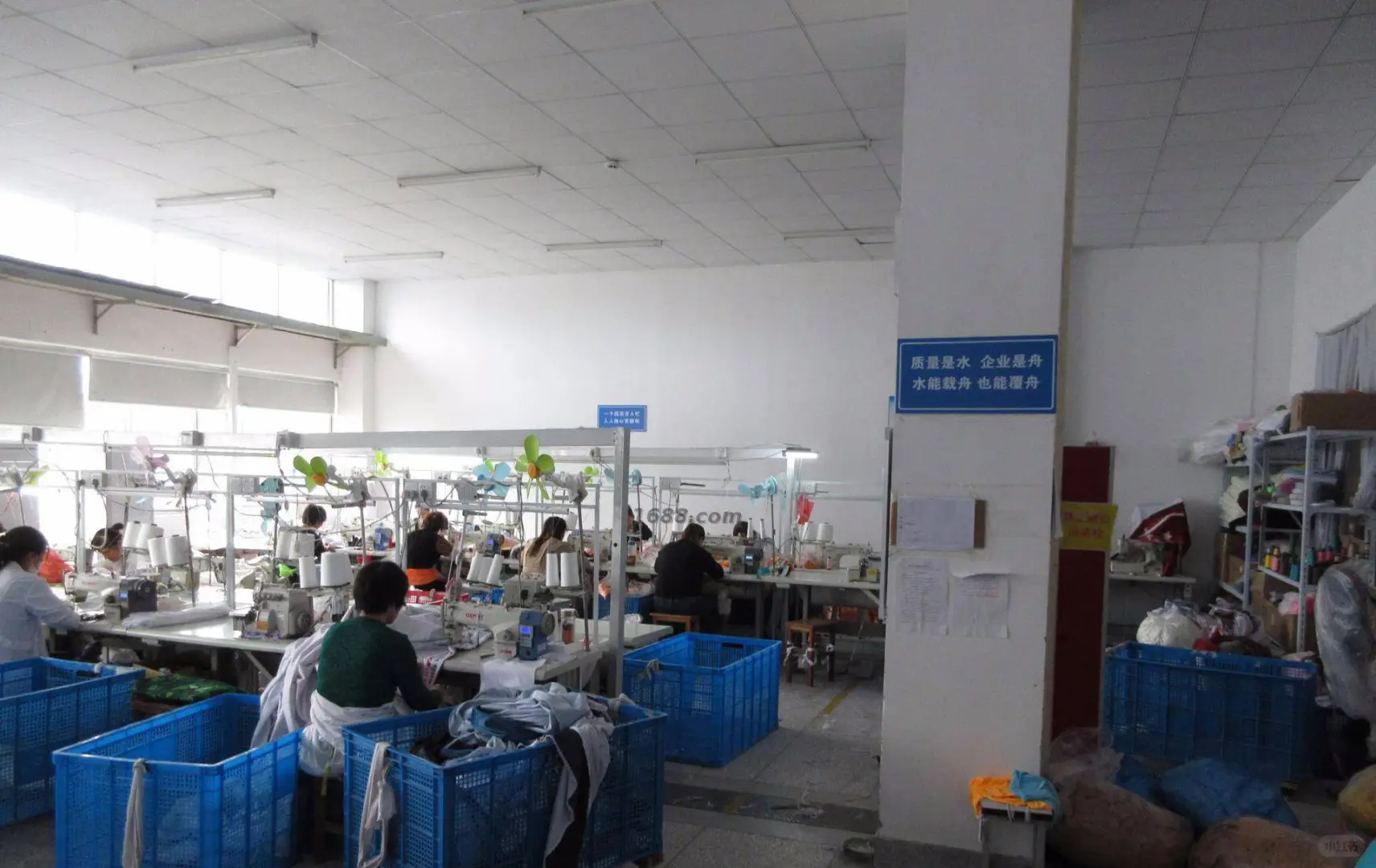 袋鼠考拉扎根扬州,匠心打造高品质毛绒玩具