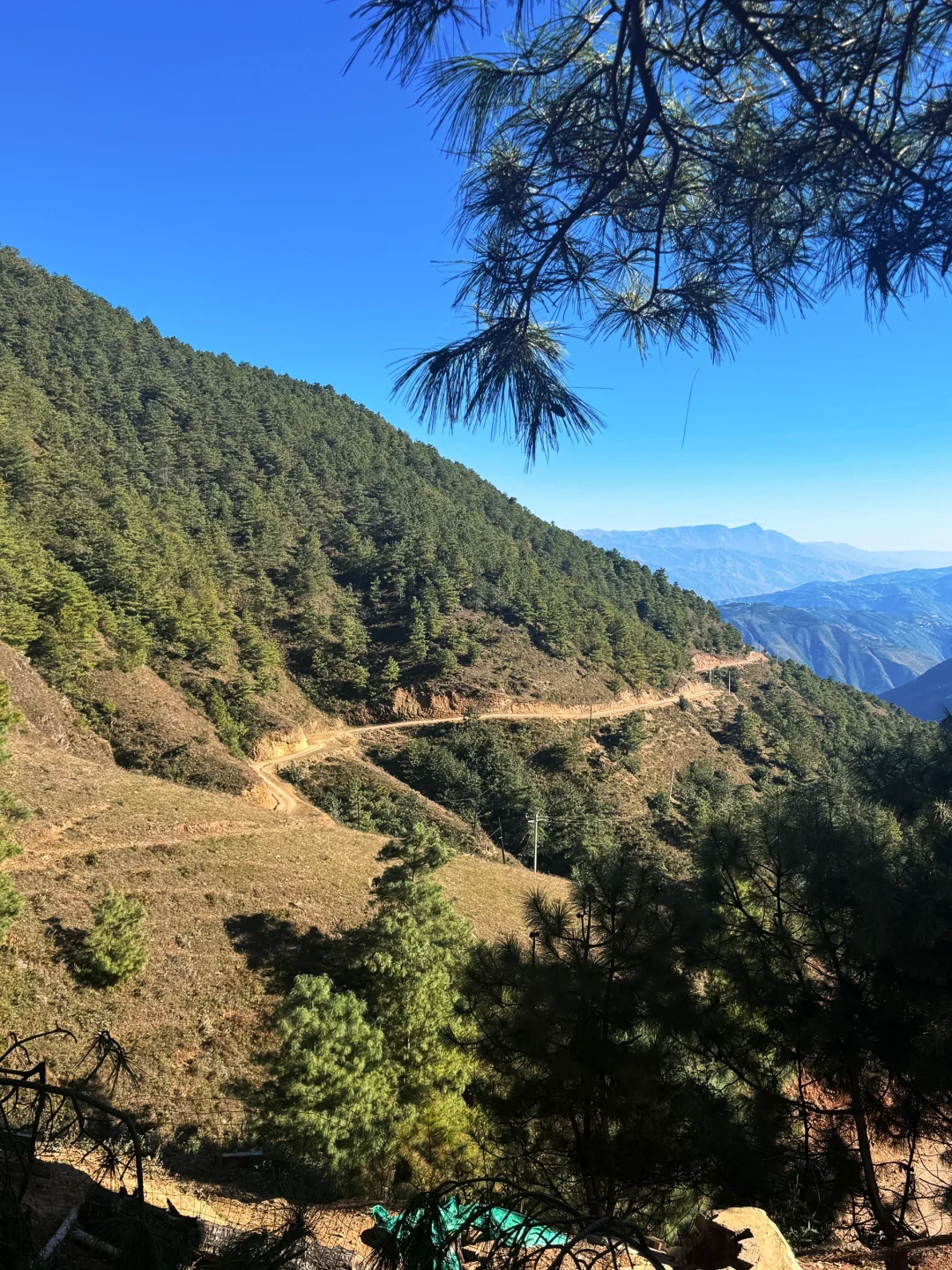 乡镇林业站工作日常｜巡山 赶集 闲适的一天