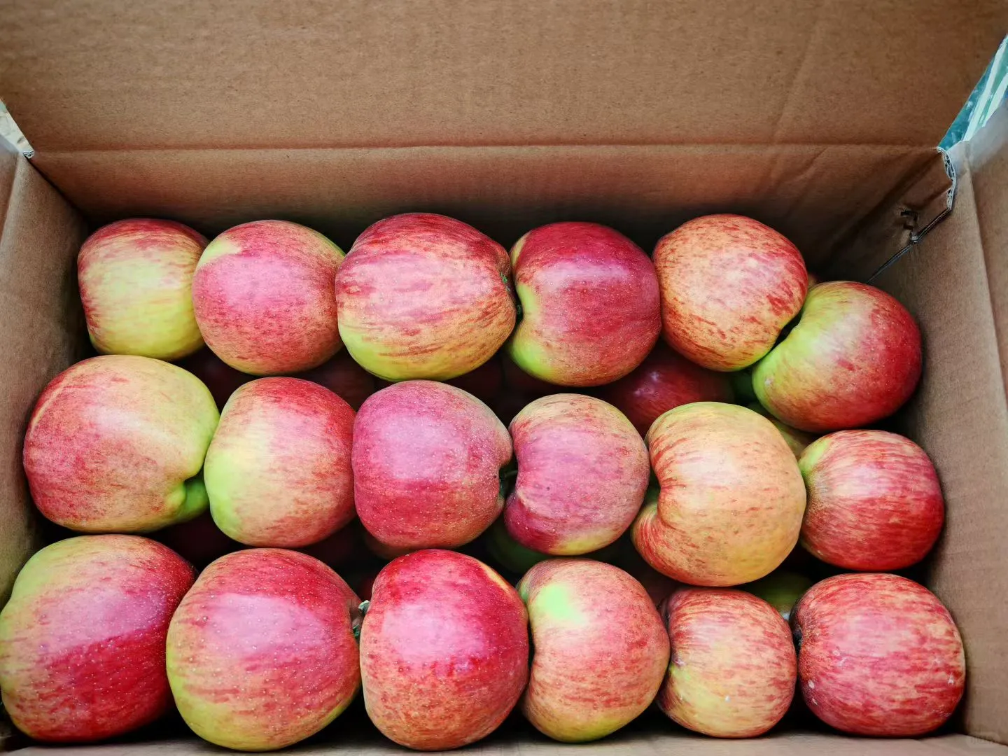 自家果园种植，价格实惠