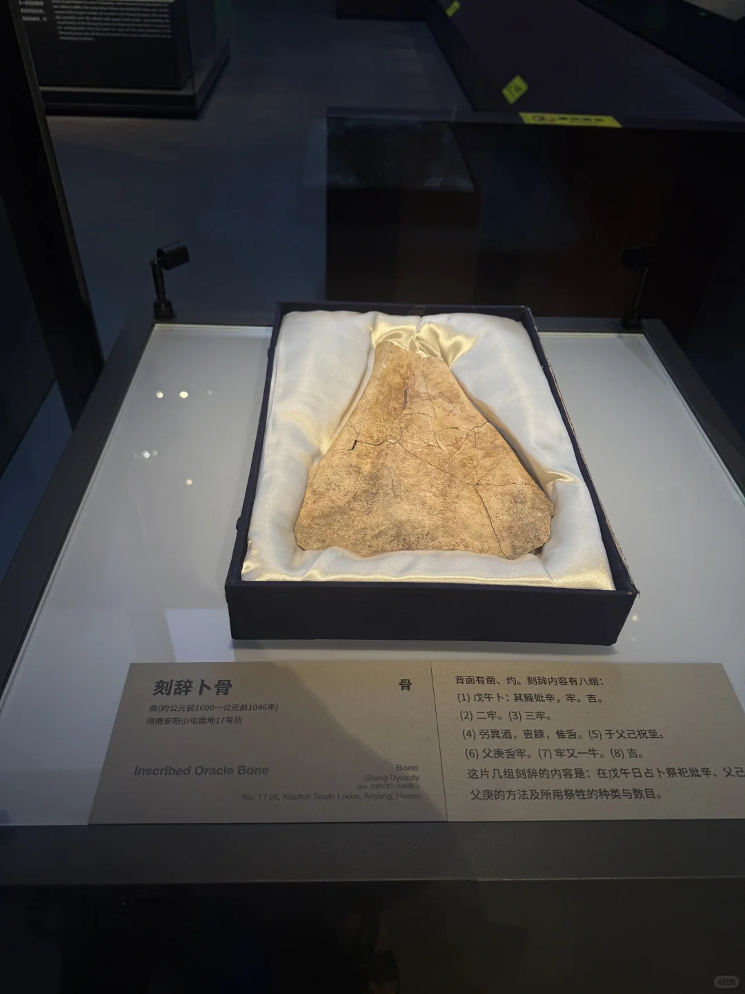 独身的浪漫小事：逛考古博物馆