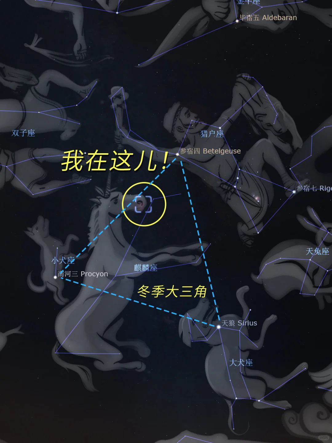 5200光年外的永生玫瑰