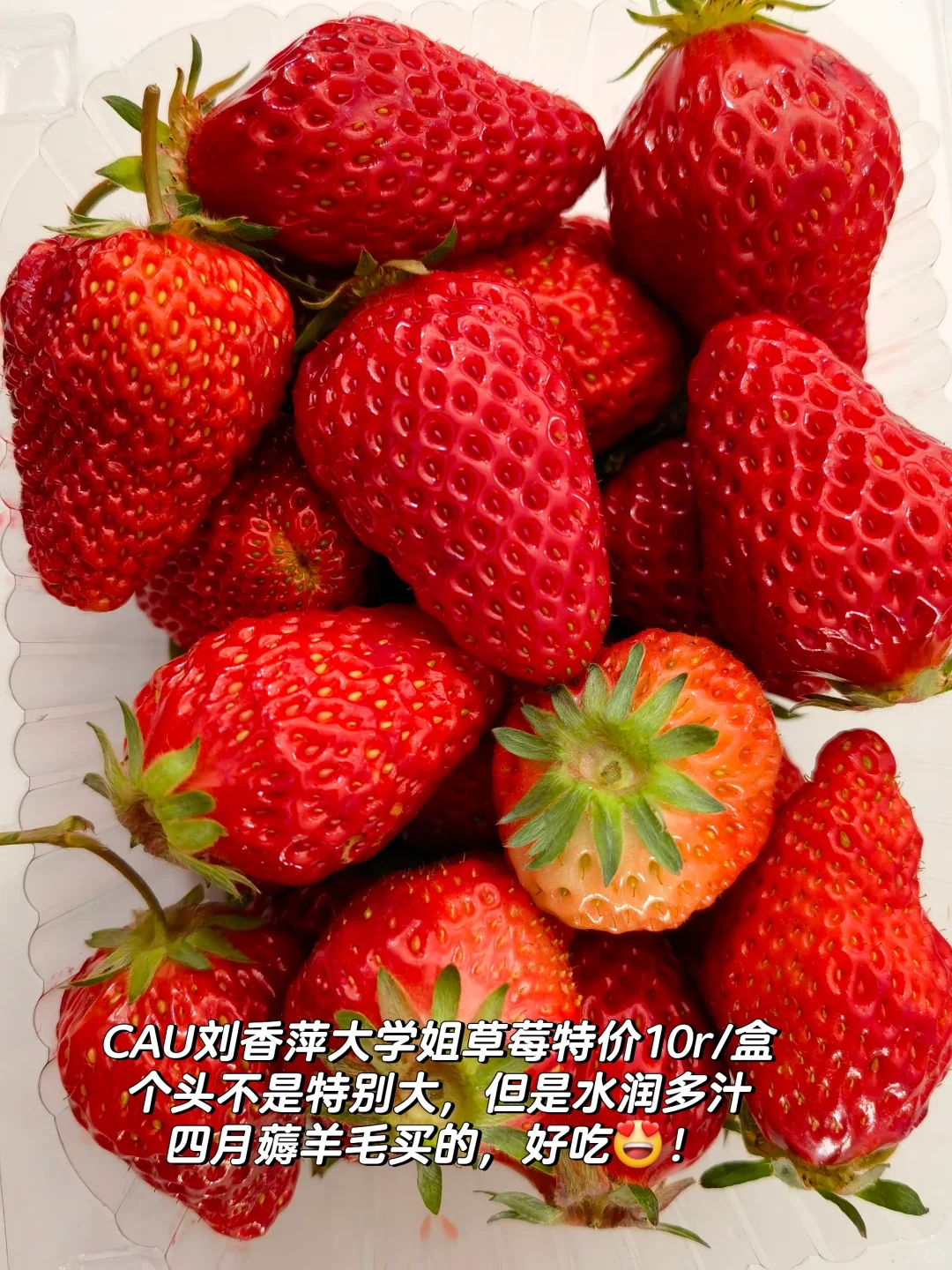 【CAU水果集】所以大家都在吃什么水果?