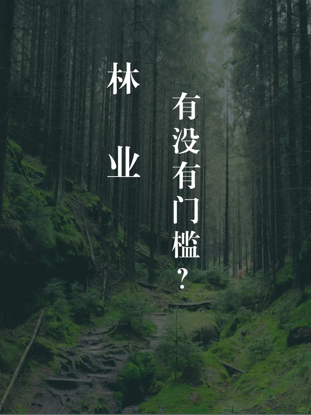 这行谁来都能干呗