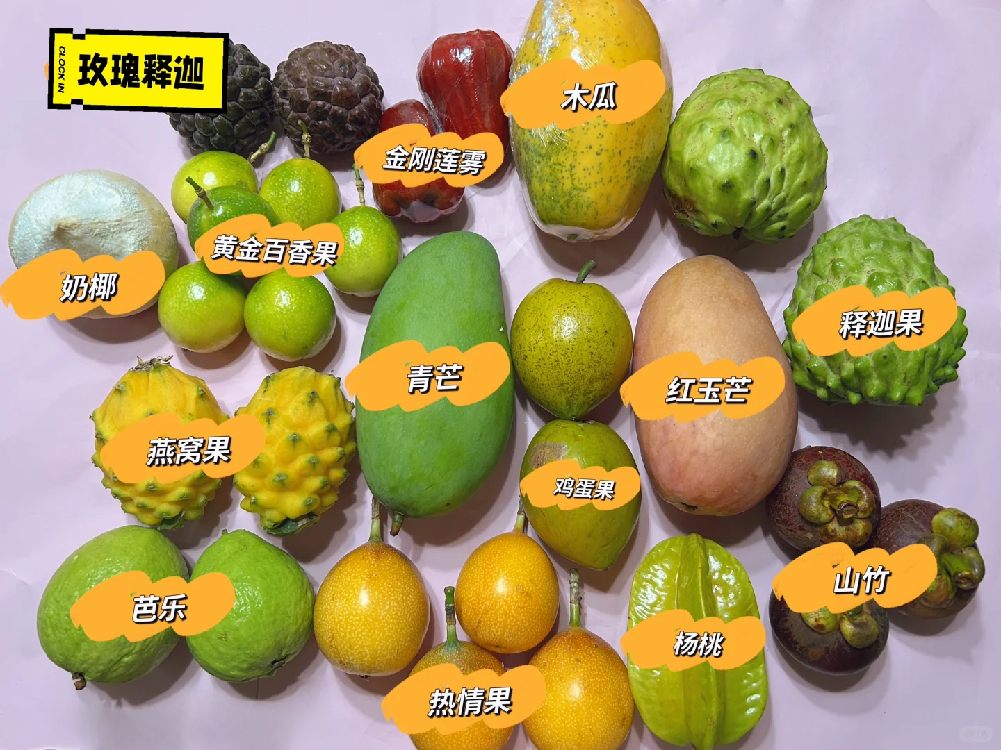 海南水果大冒险?