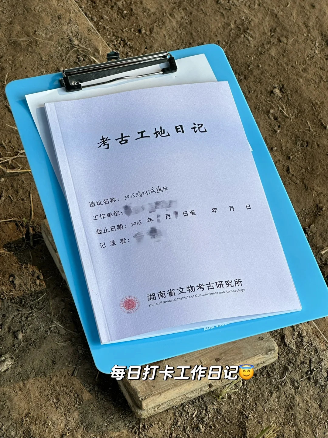 鸡叫城考古plog丨沉浸式挖土进行时?