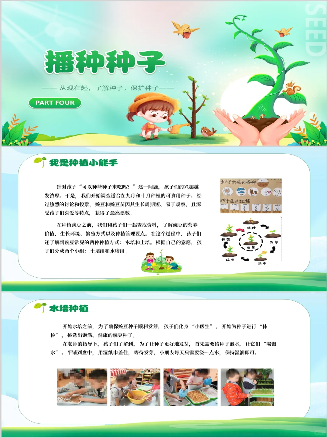 幼儿园班本课程PPT《神奇的种子》含文稿