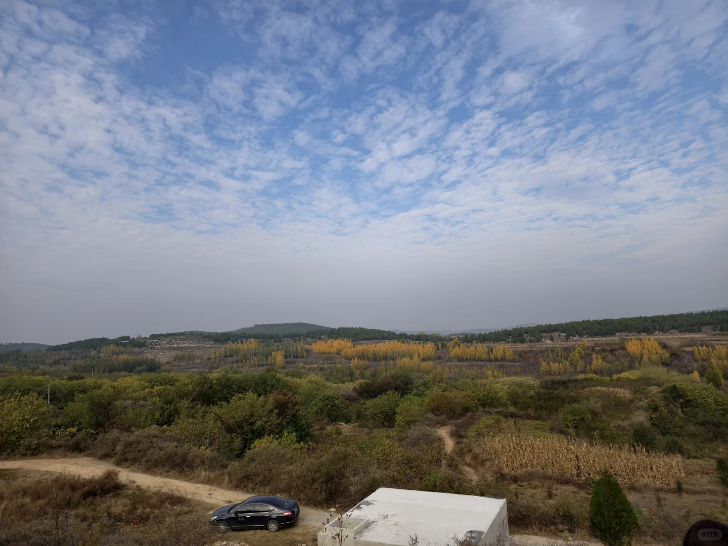 浅浅分享林业工作者的工作日常