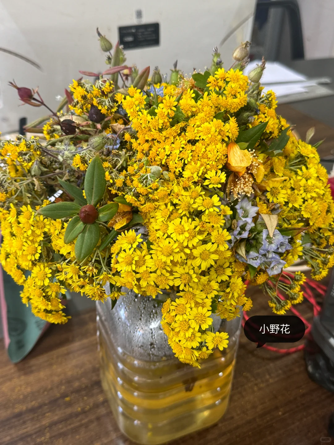 乡镇林业站工作日常｜巡山 赶集 闲适的一天