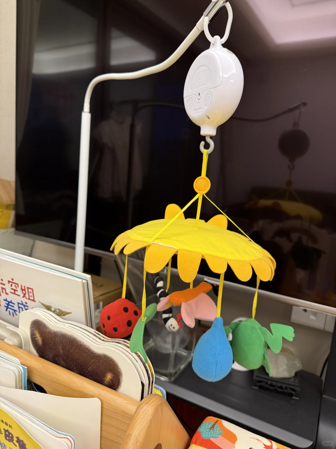 自用无广分享| 0-1岁玩具推荐