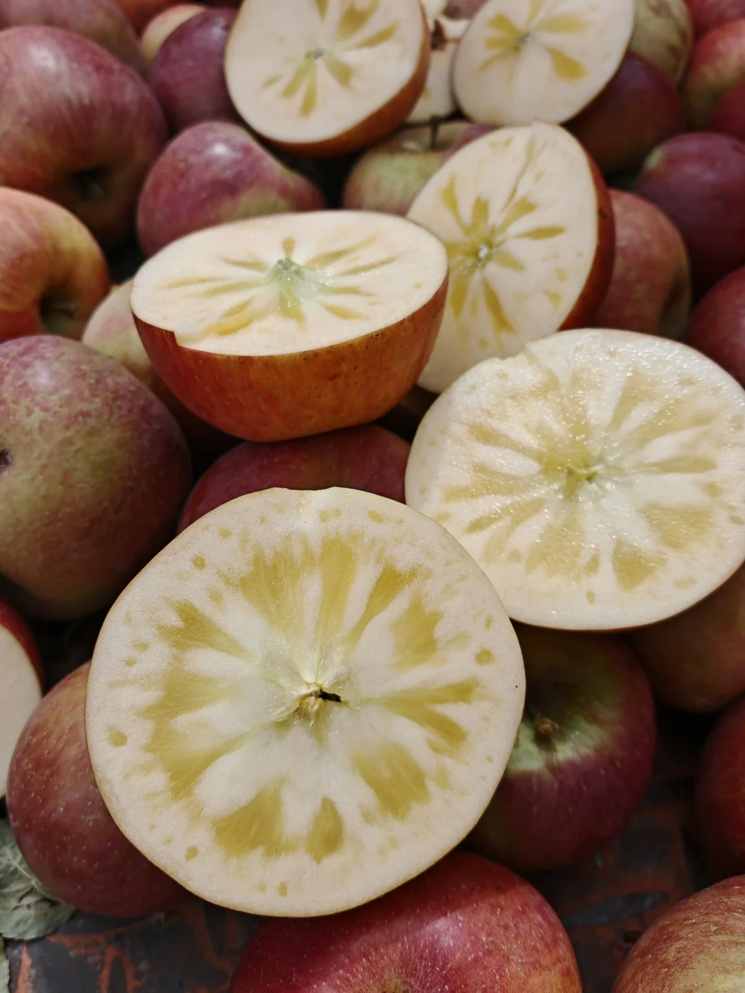 大凉山的冬天的苹果园也太漂亮了吧