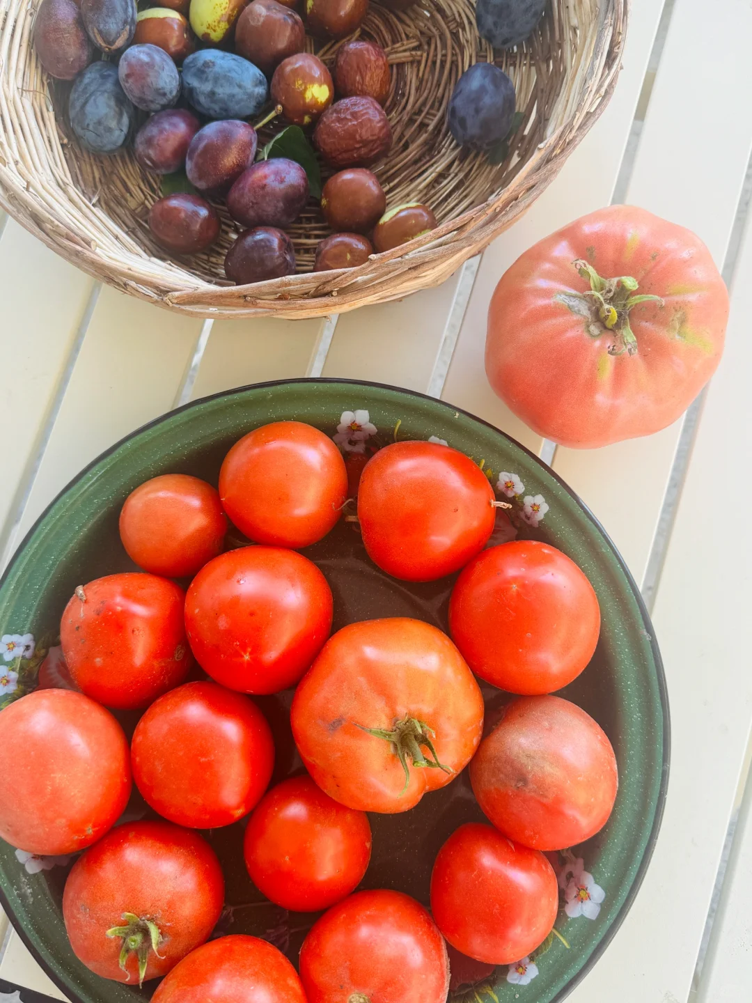 在伊犁的水果都是来报恩的