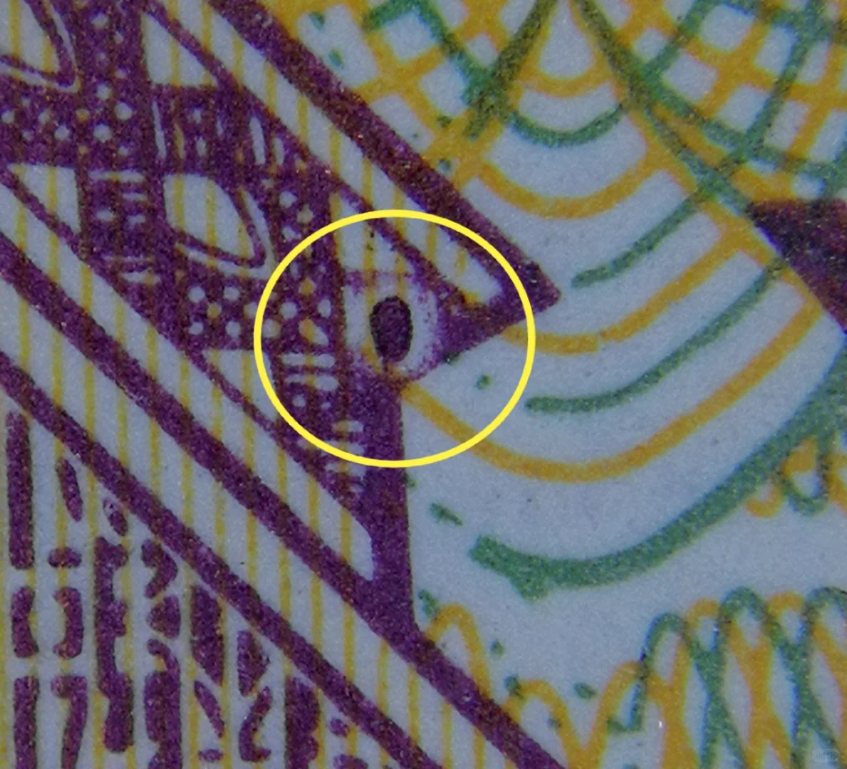 错版奇珍：8001 IZ3529冠号的多重瑕疵密码