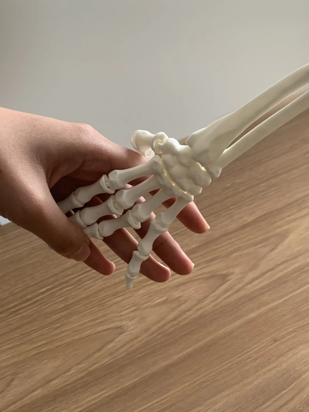 疯了！我用3D打印做了个手骨模
