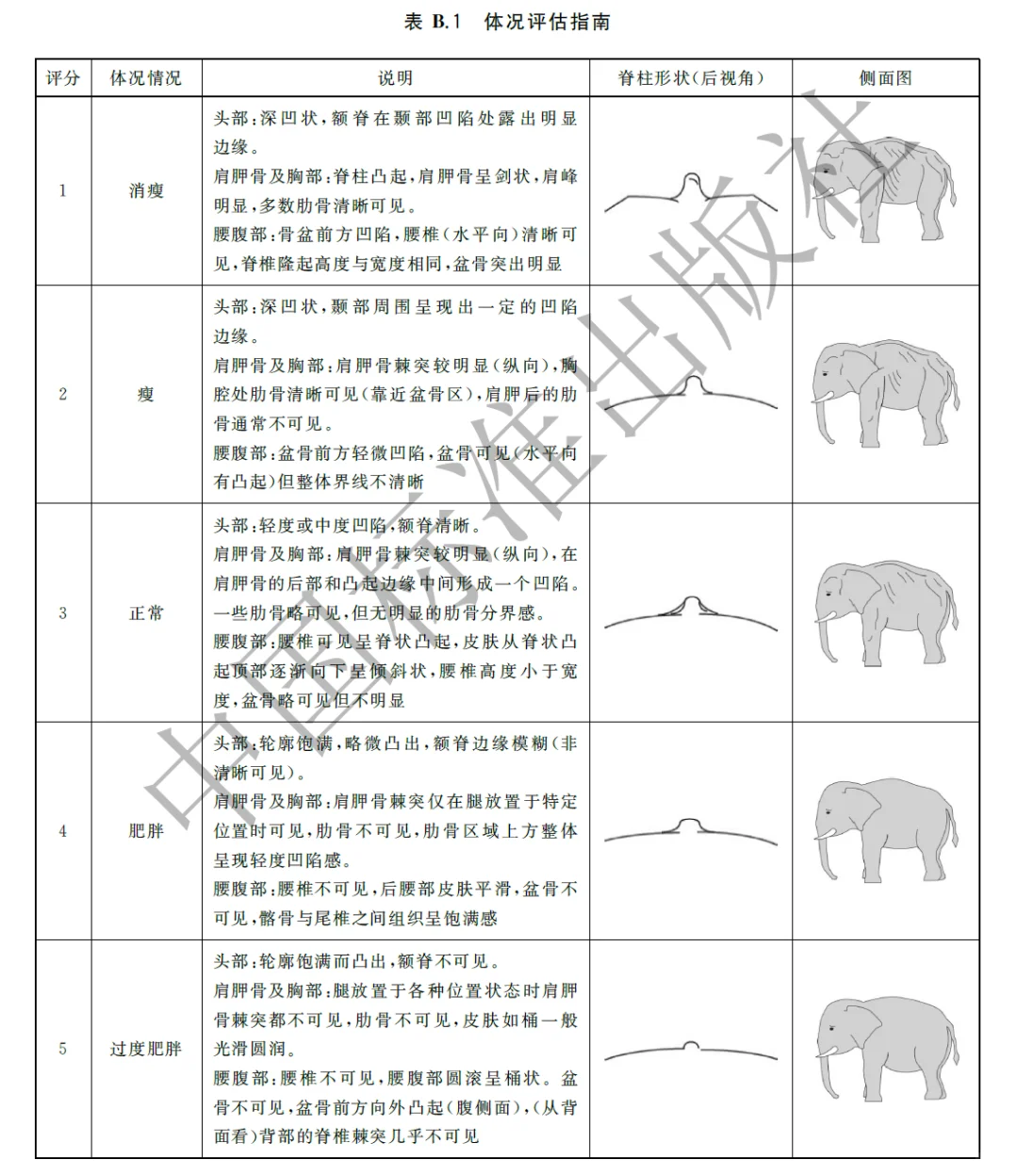 亚洲象的胖瘦评估标准