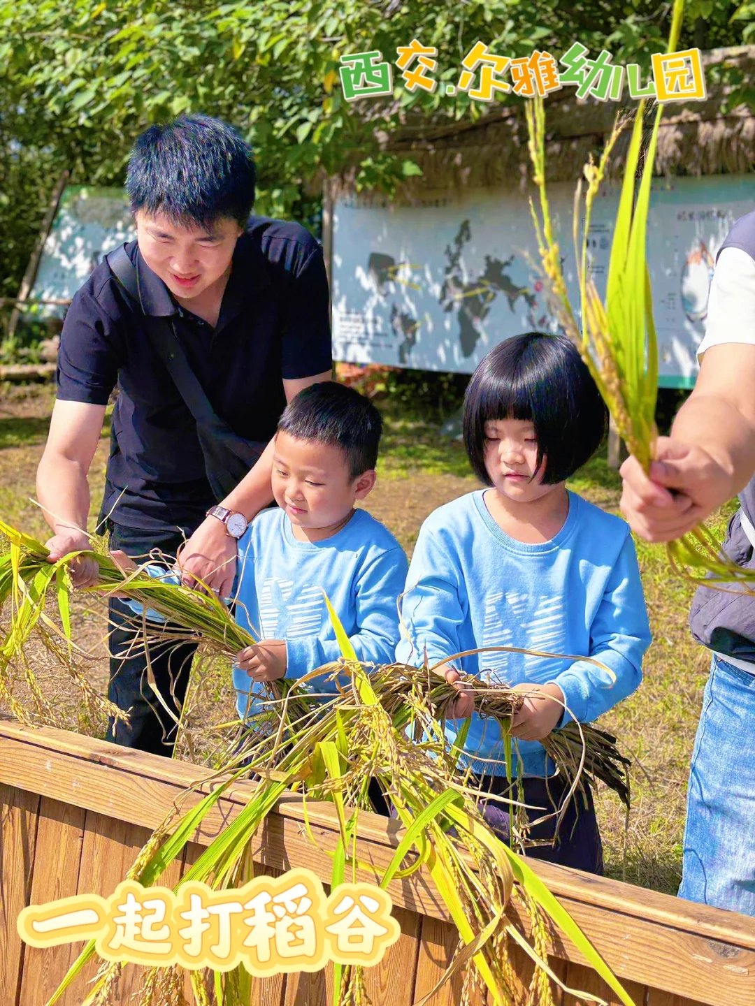 ?稻花香里说丰年、拾秋?