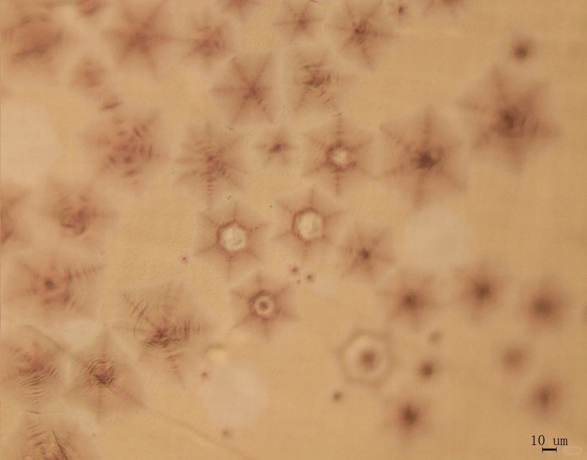 #二维材料[话题]##石墨烯[话题]##CVD[话题]