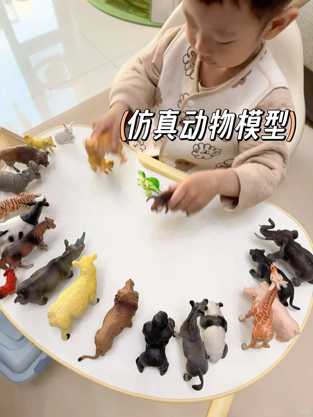 两岁宝宝在家玩什么?爱玩频率较高玩具分享