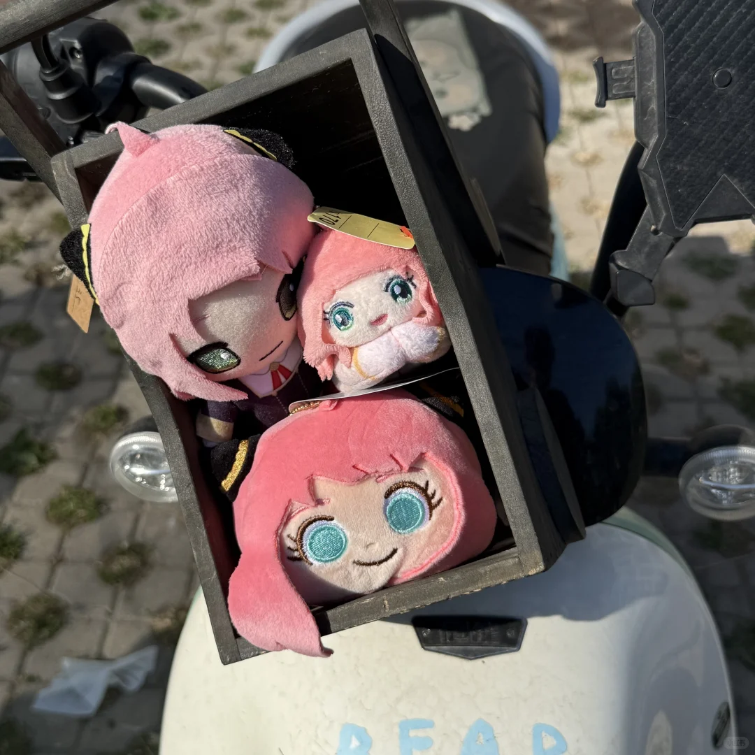 一起去追风吧～