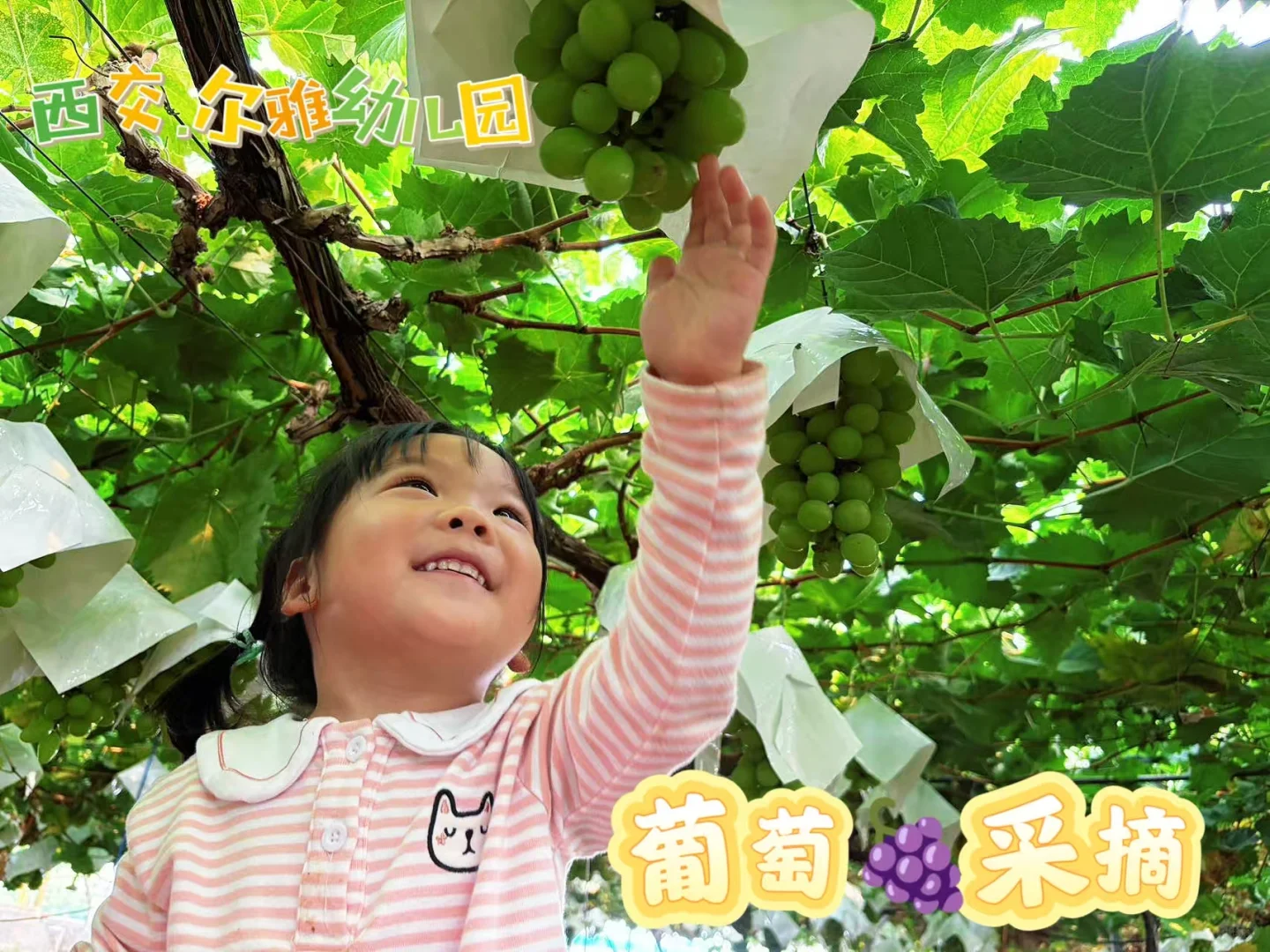 ?稻花香里说丰年、拾秋?