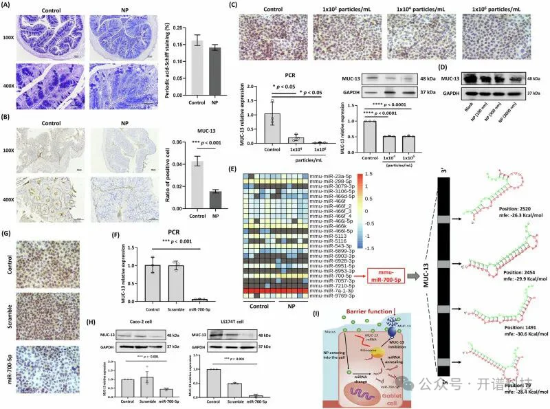 微塑料+转录组，揭示纳米塑料危害肠道健康新