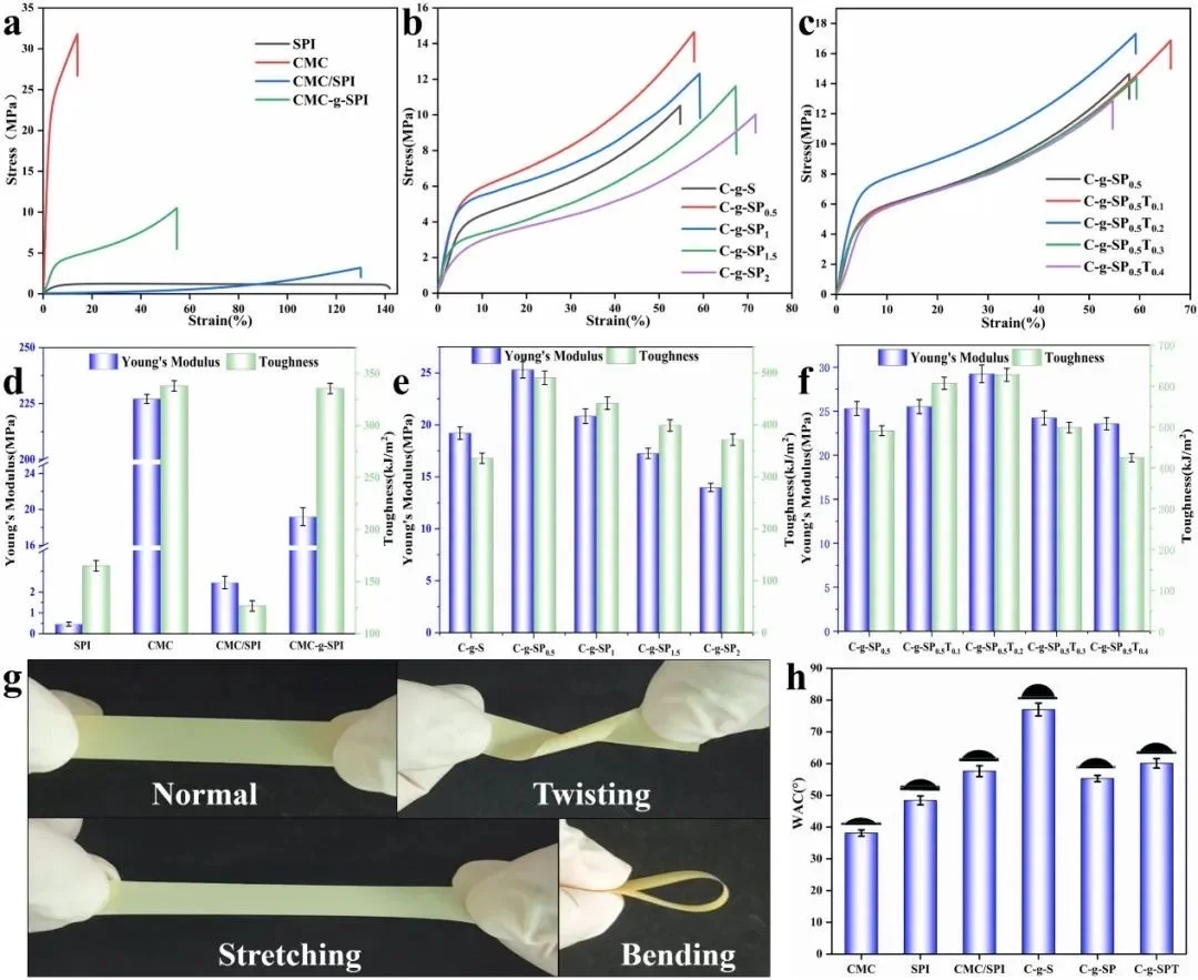 【学术聚焦】高性能生物基复合薄膜！