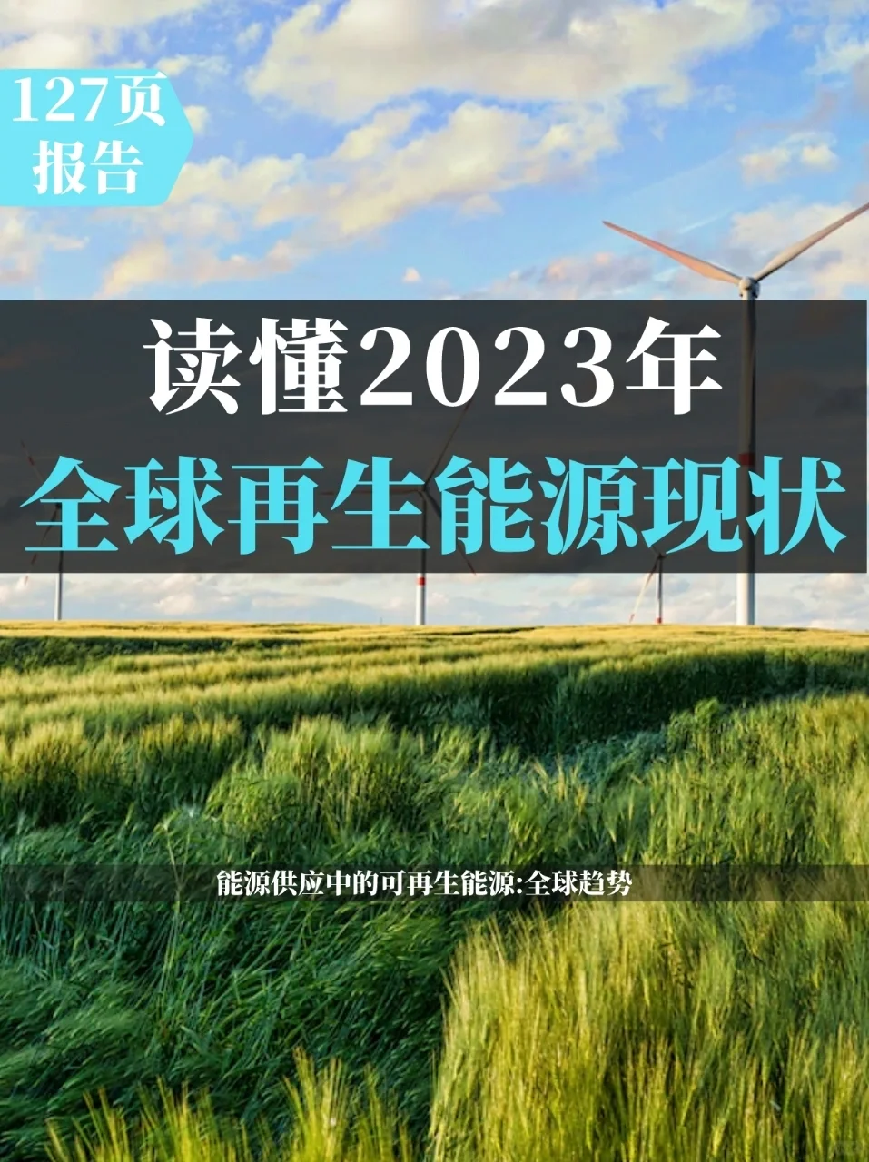 127页报告读懂|全球可再生能源现状报告2023