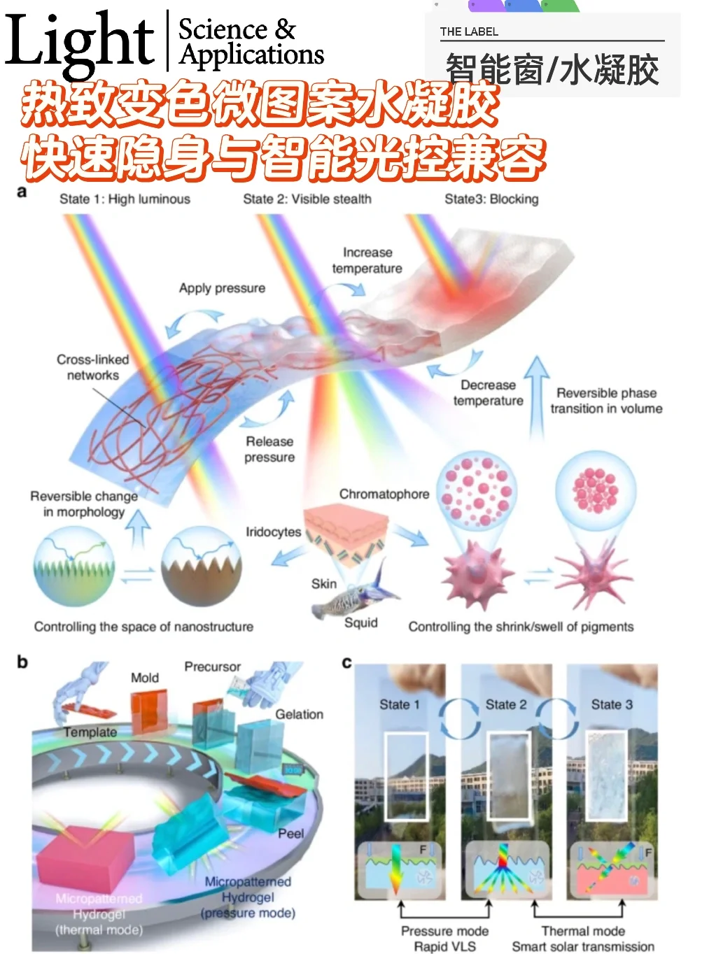 变色微图案水凝胶，隐身和光热调控智能窗