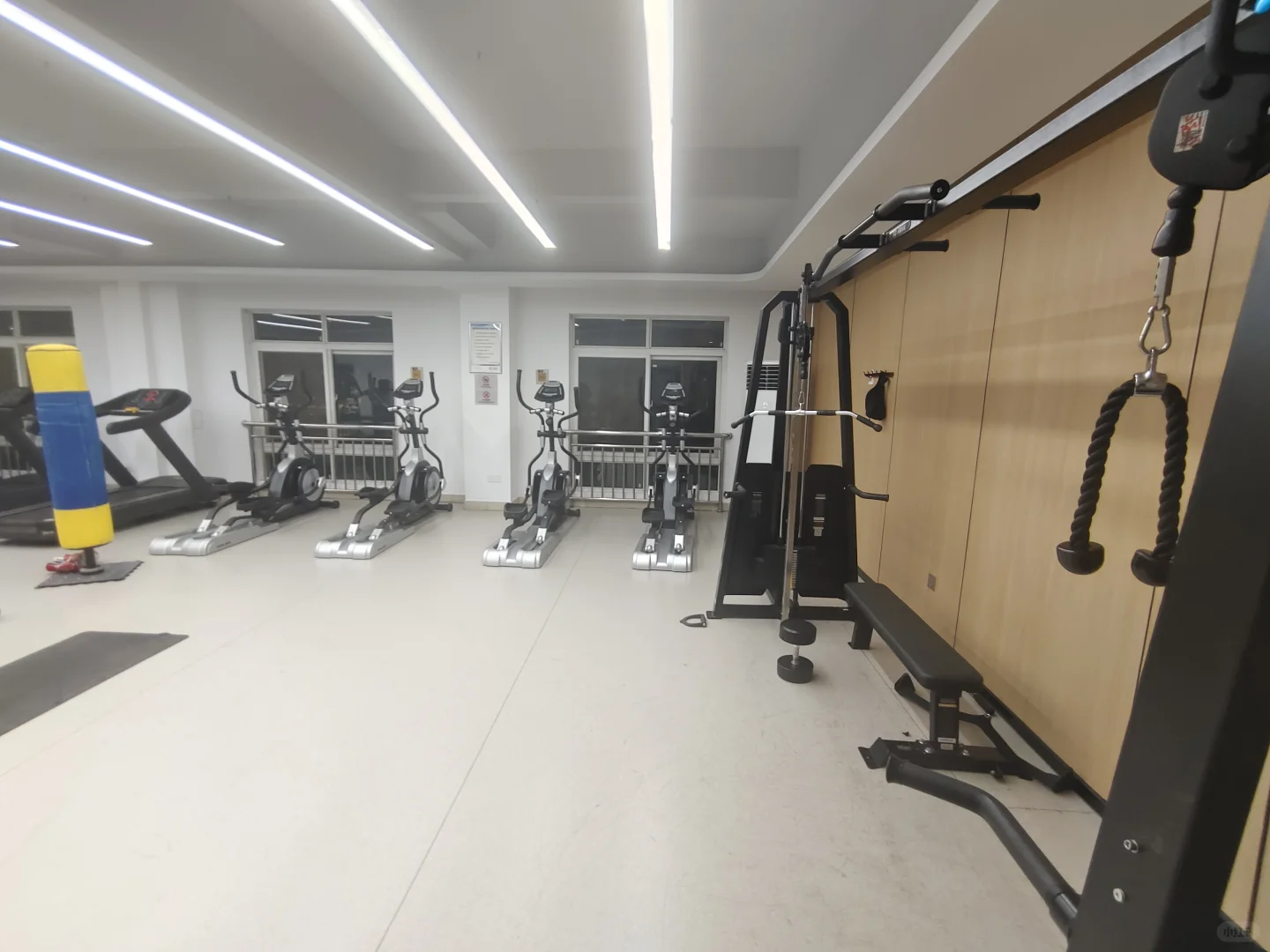 主线任务：体检