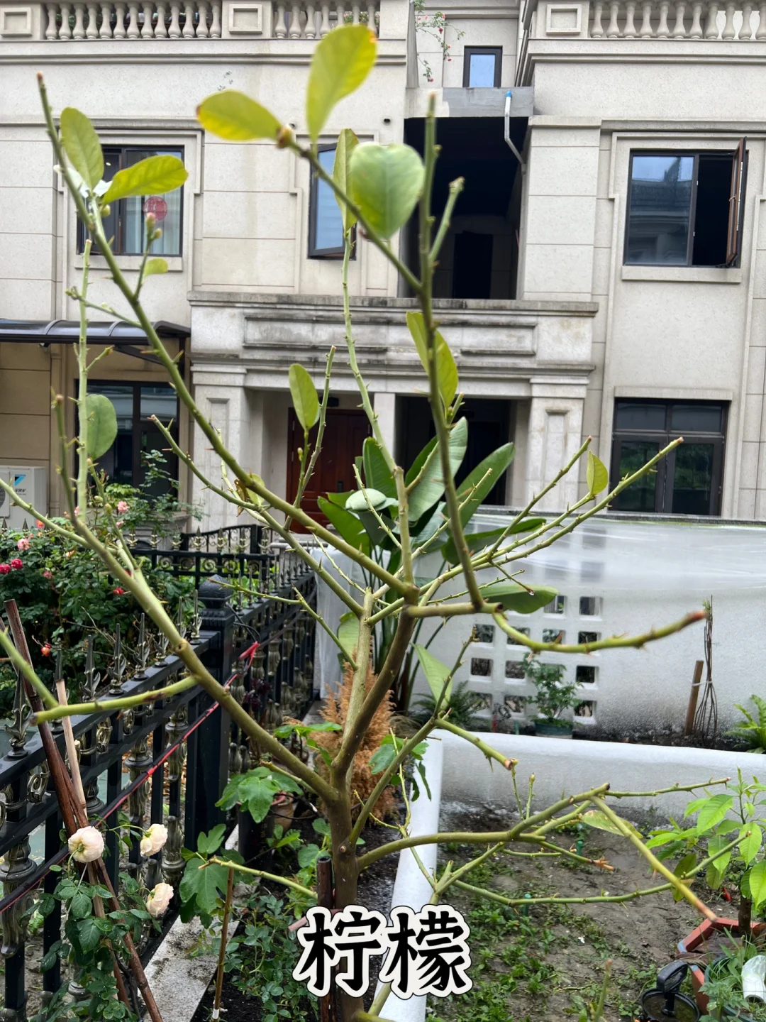 打造一个一年四季都有水果吃的花园