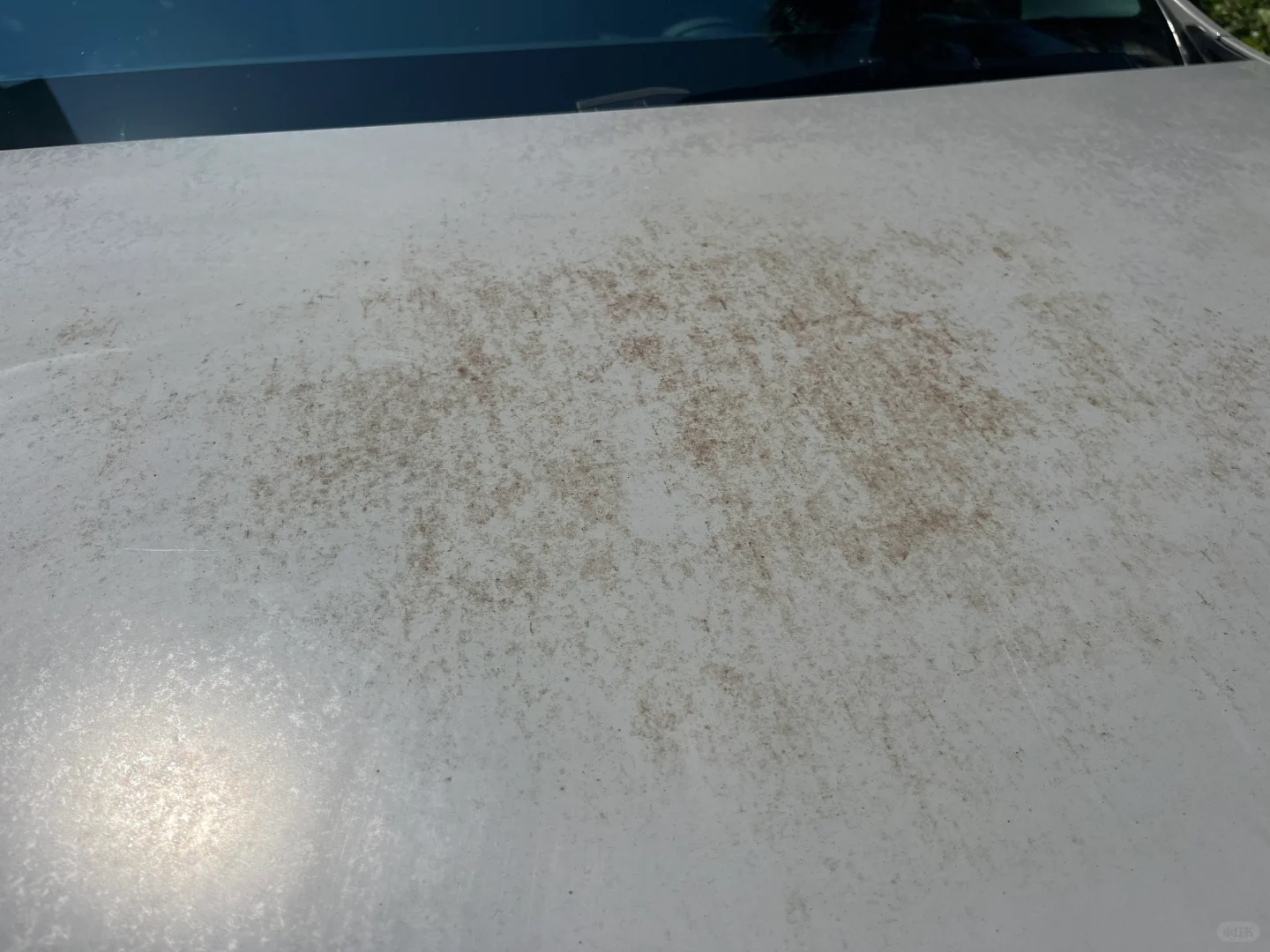 哑灰PVC改色膜2年氧化