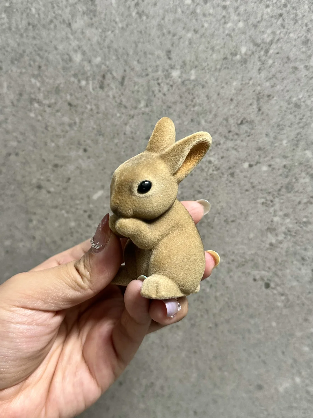 一起玩玩具叭～