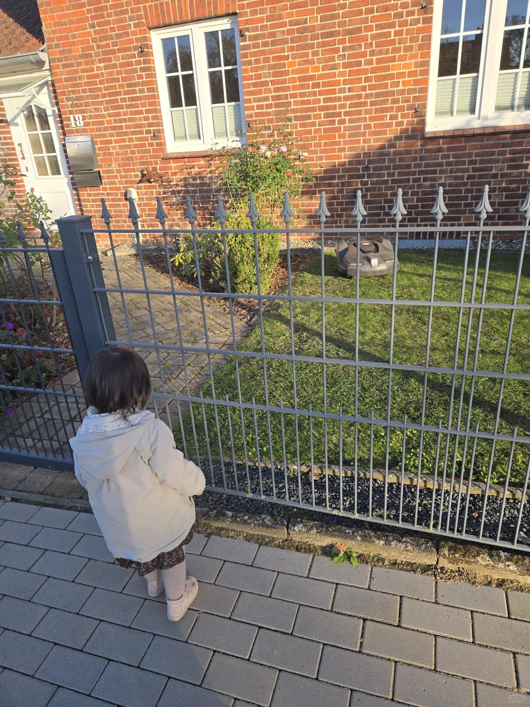 22月龄人类幼崽的塑料中文以及塑料德语