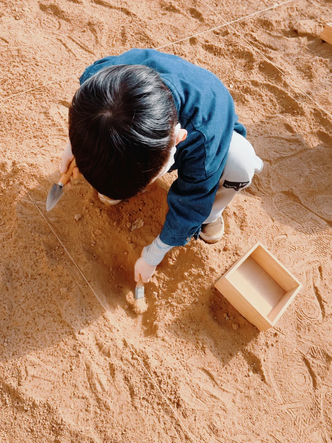 哪个小孩能拒绝考古挖掘？关键是不贵
