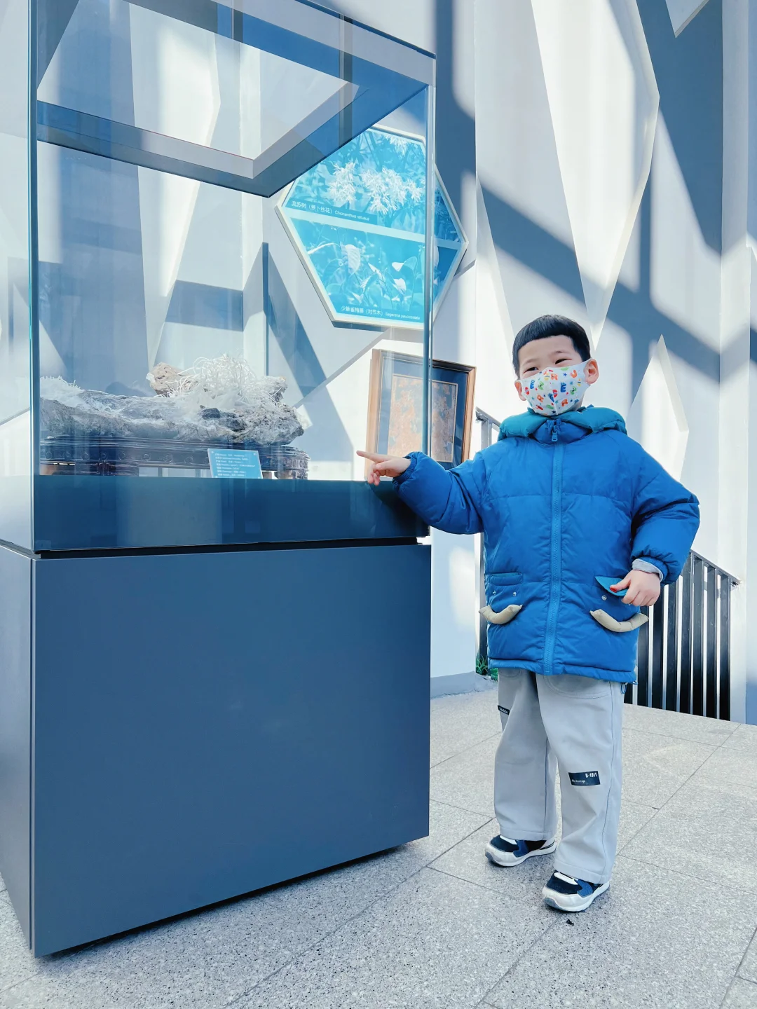 哪个小孩能拒绝考古挖掘？关键是不贵